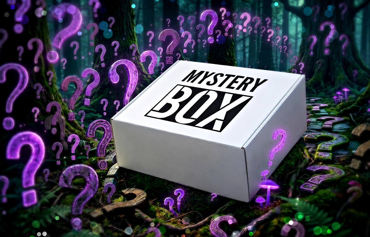 Lust auf eine Box voller Überraschungen? Dann schnappt Euch eine Mystery Box mit Top-Warenwert (Werbung inkl. Gewinnspiel)